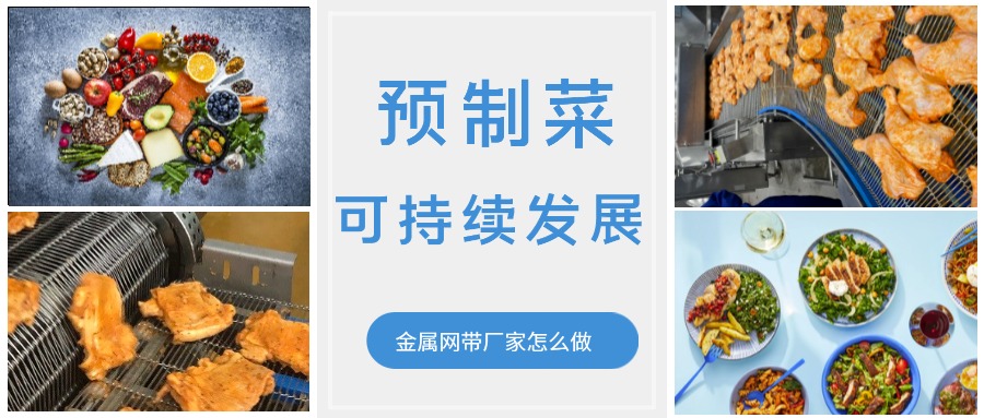 金屬輸送網(wǎng)帶的領(lǐng)頭企業(yè)，預制菜的可持續(xù)發(fā)展中能做什么？