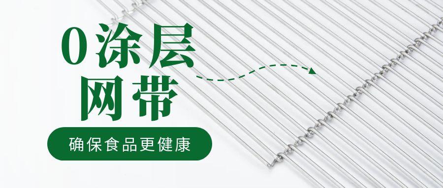 油炸機(jī)網(wǎng)帶“0 涂層”工藝，確保食品更健康