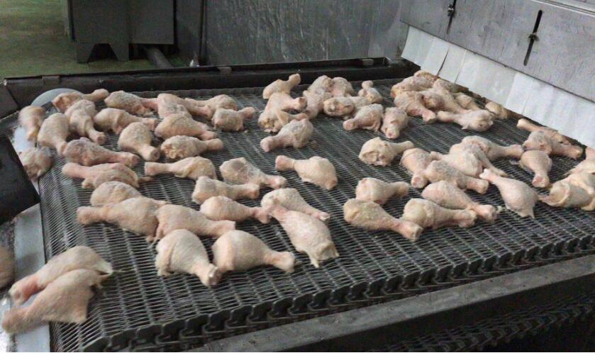 食品網(wǎng)帶 食品網(wǎng)帶