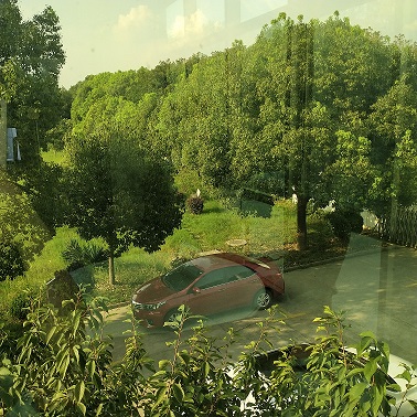 廠區(qū)綠植 廠區(qū)綠植