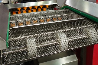 不銹鋼輸送帶 不銹鋼輸送帶