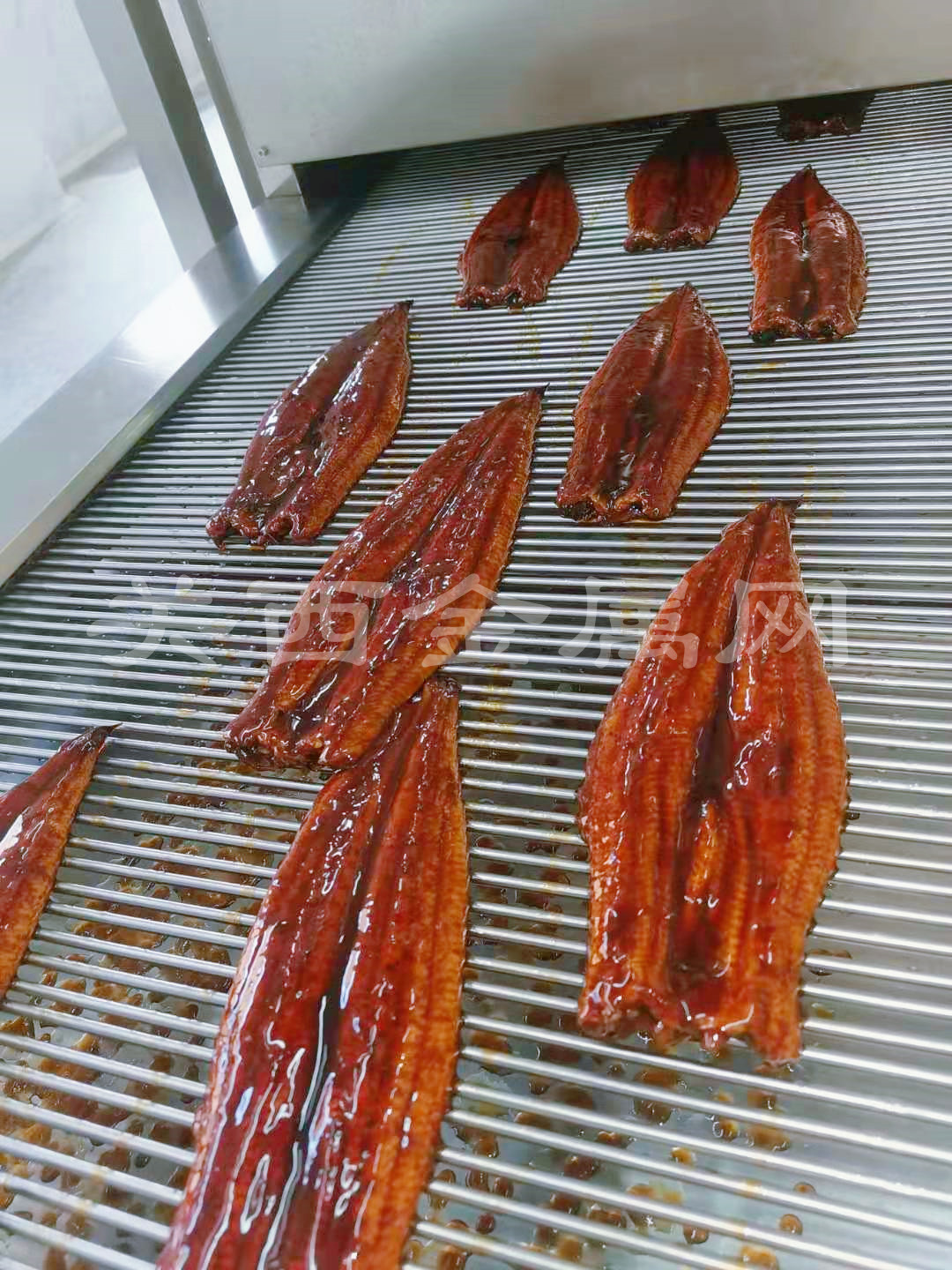 食品輸送帶 食品輸送帶